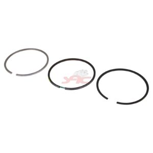 ISF3.8S3141 PISTON RINGS