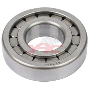 DIFF CROWN & PINION SHAFT BEARING