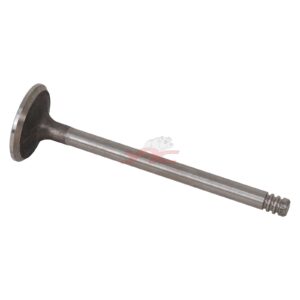 C/HEAD EXHAUST VALVE