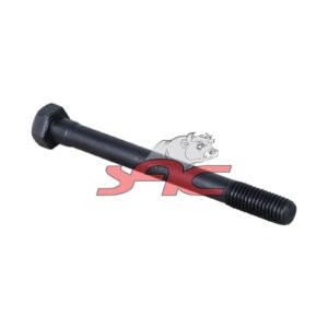 C/HEAD BOLTS SHORT