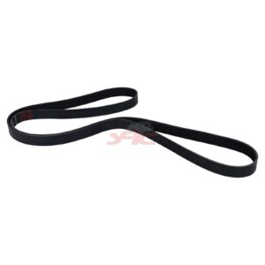 FAN V-RIBBED BELT